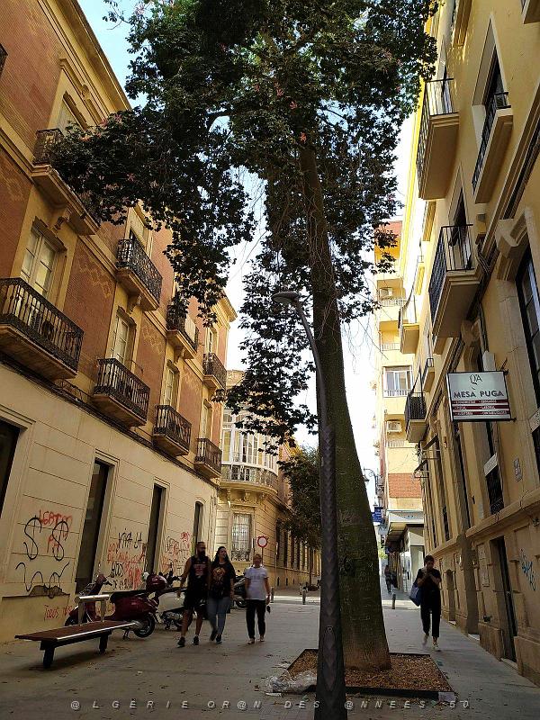 10 20210923 ALMERIA CENTRE VILLE AV FREDERICO GARCIA LORCA (56).jpg